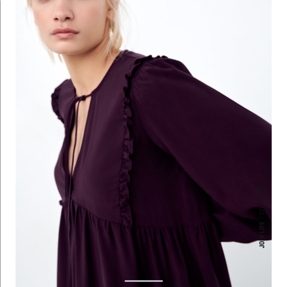 Zara Pleated Dress - Picture 2 of 10